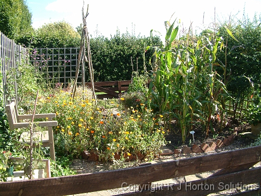 Small Organic Garden_1